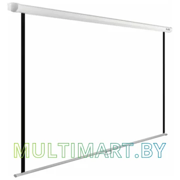 Проекционный экран CACTUS WallExpert 200x125 (CS-PSWE-200x125-WT) картинка 2
